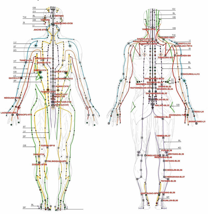 Acme Acupuncture and Chinese Herbs Clinic - your dependable acupuncturist and herbalist. 